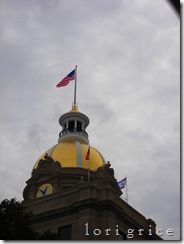 DSCN6252