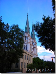 DSCN6281