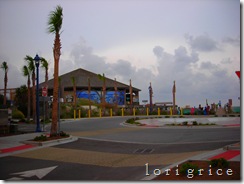 DSCN6632