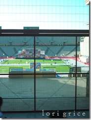 DSCN8130