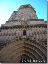 DSCN8192