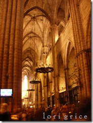 DSCN8221