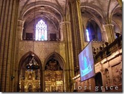 DSCN8225