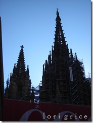 DSCN8253