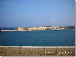DSCN8346