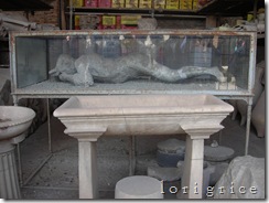 DSCN8391