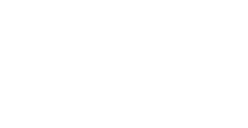 Lori Grice Photography - Wall Portrait Artist